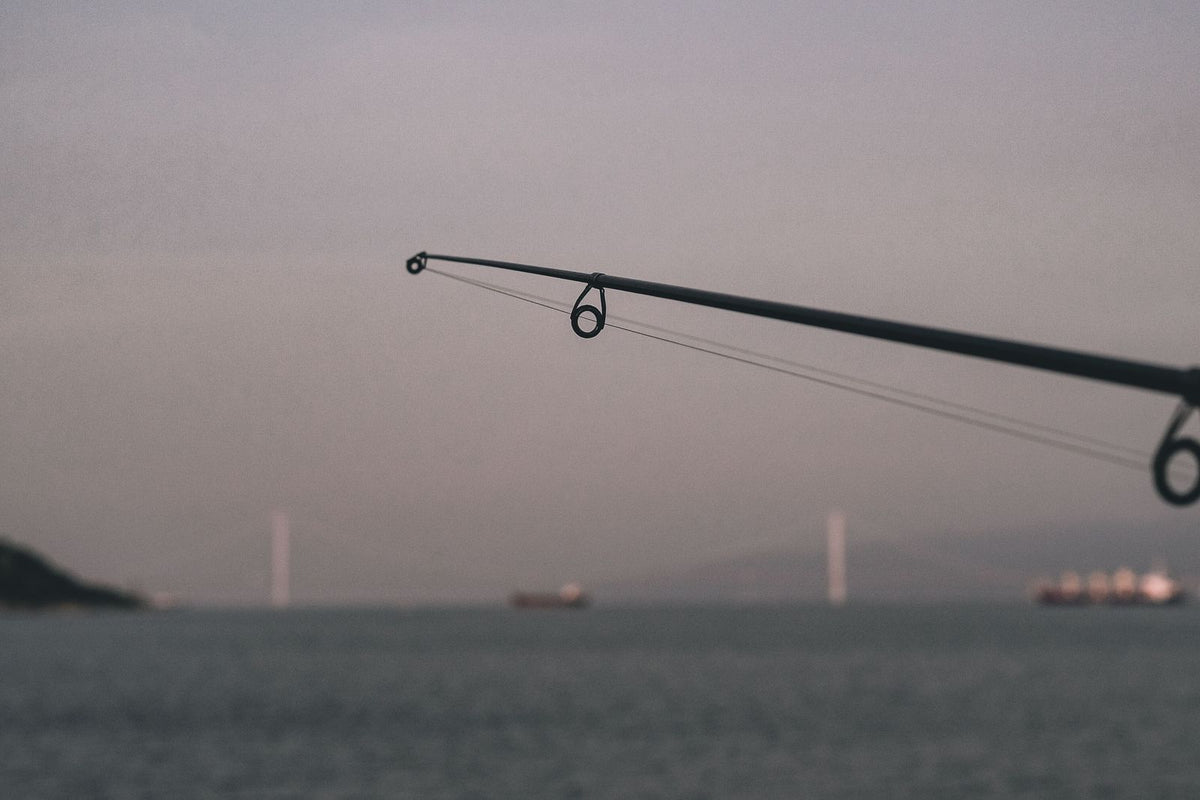 A fishing rod tip reaching out over calm grey water under a soft overcast sky