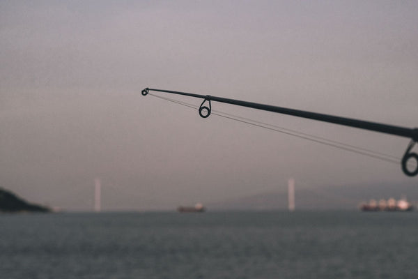 A fishing rod tip reaching out over calm grey water under a soft overcast sky