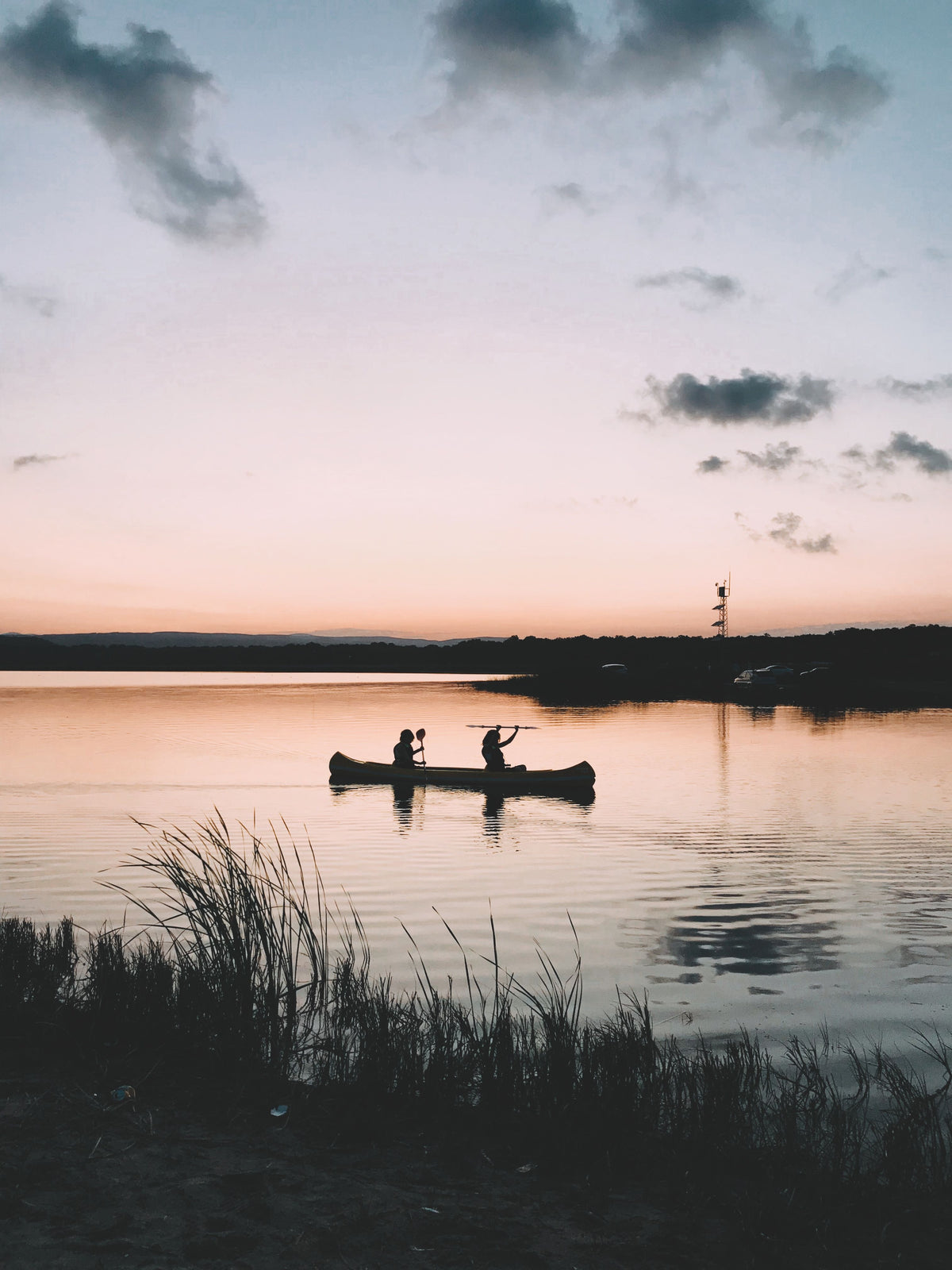 Kayakers silhouetted at dawn on calm water with reeds in the foreground.